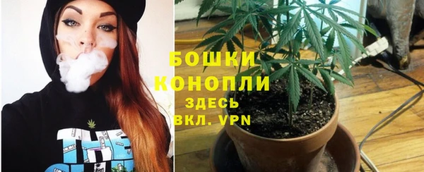 сатива Арсеньев