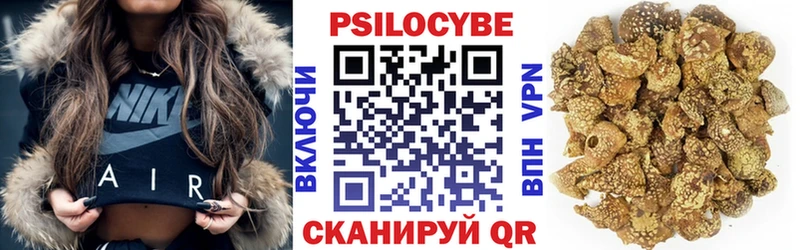 Псилоцибиновые грибы Cubensis Лесозаводск